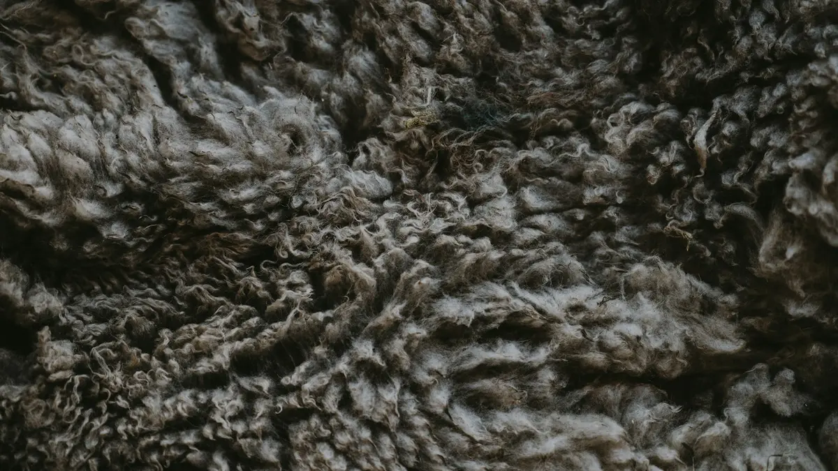 Textured wool fiber showing uneven strands and visible contaminants throughout the surface.